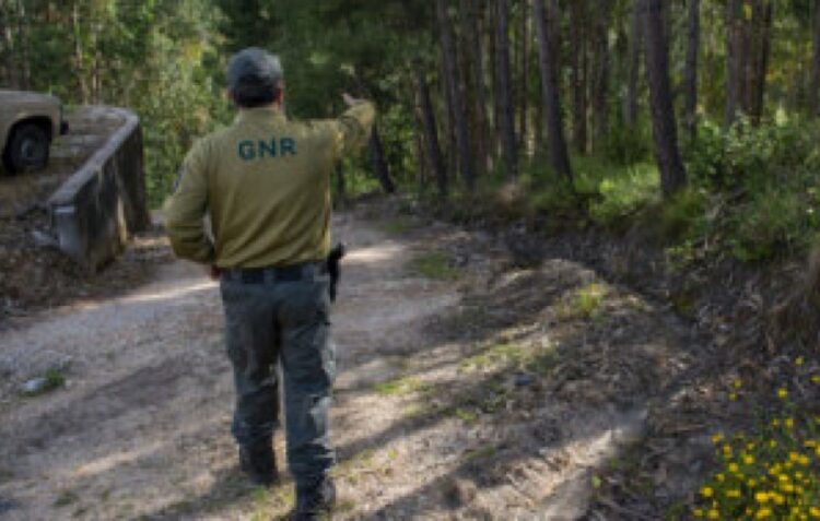 GNR detém homem que fazia queimada não autorizada