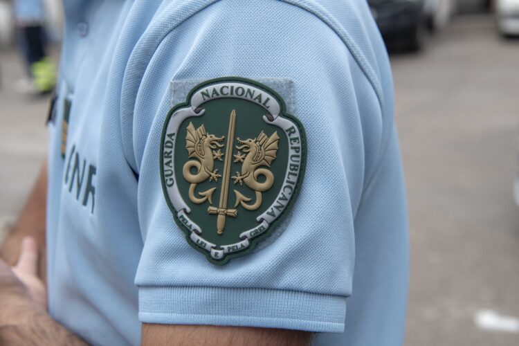Homem detido pela GNR por fogo posto em Ansião