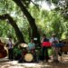Bombarral Jazz & Street Food está de volta
