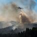Incêndio em Pombal corta A1 no sentido sul-norte