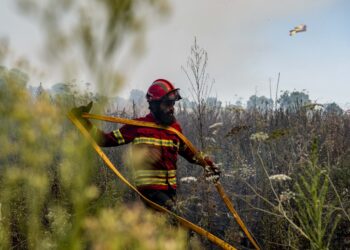 Trânsito circula com normalidade na A1 com resolução de incêndio em Pombal