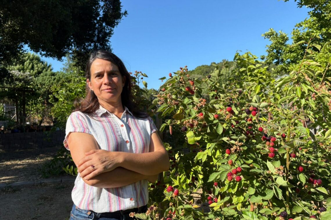 Marta Baptista: “Devemos esperar que a disponibilidade de alimentos seja mais escassa e o seu preço seja muito mais alto”