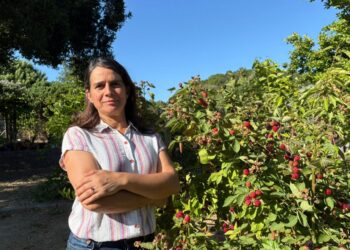 Marta Baptista: “Devemos esperar que a disponibilidade de alimentos seja mais escassa e o seu preço seja muito mais alto”