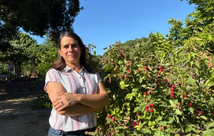Marta Baptista: “Devemos esperar que a disponibilidade de alimentos seja mais escassa e o seu preço seja muito mais alto”
