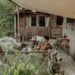Glamping, férias para desfrutar da natureza sem abdicar do conforto