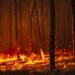 Fogo obriga a evacuar cinco aldeias de Pedrógão Grande