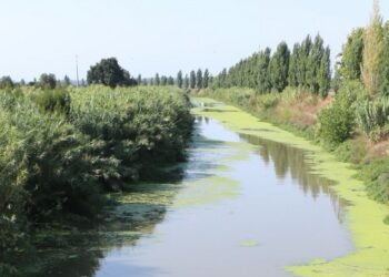 Câmara de Leiria exige reparação de danos causados à Águas do Centro Litoral