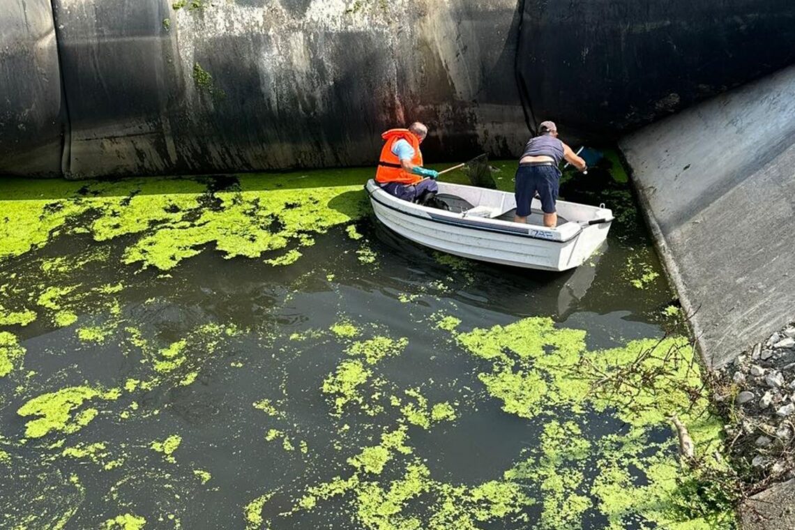 Descargas reveladoras. Obras a conta-gotas insuficientes para mar de turistas