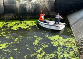 Descargas reveladoras. Obras a conta-gotas insuficientes para mar de turistas