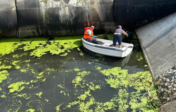 Descargas reveladoras. Obras a conta-gotas insuficientes para mar de turistas