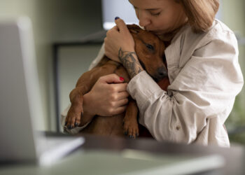 Canil de Caldas, CRAPAA e Rede Leonardo recebem prémios em campanha de adopção responsável