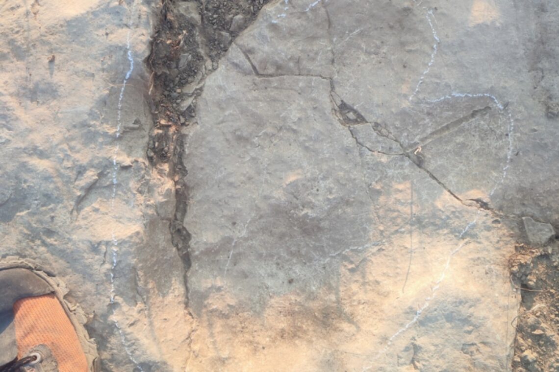 Estudo em Ansião revela rastos de dinossauro com 170 milhões de anos