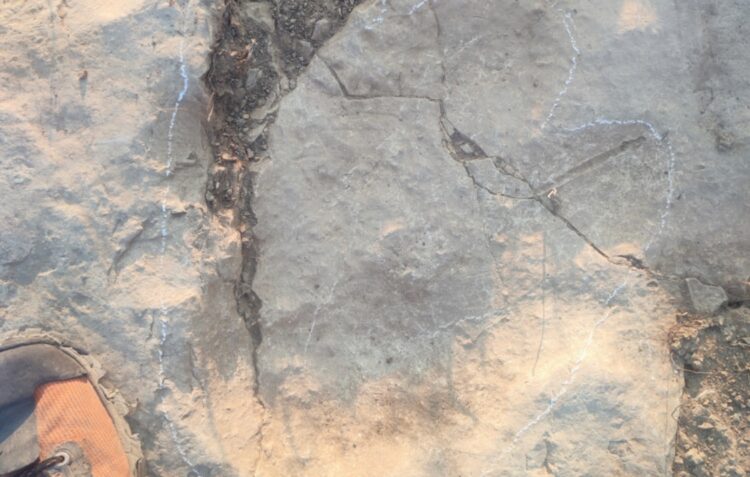 Estudo em Ansião revela rastos de dinossauro com 170 milhões de anos