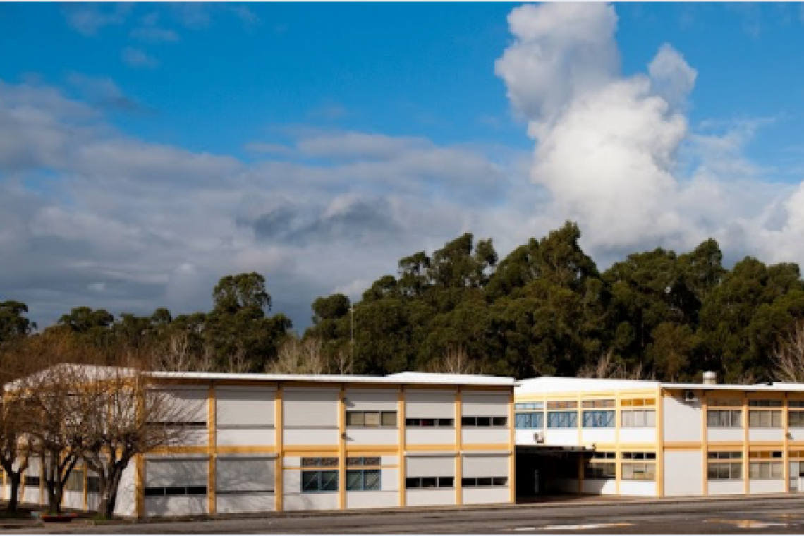 Escolas do distrito recolheram mais de 21 toneladas de lixo electrónico