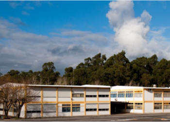 Escolas do distrito recolheram mais de 21 toneladas de lixo electrónico