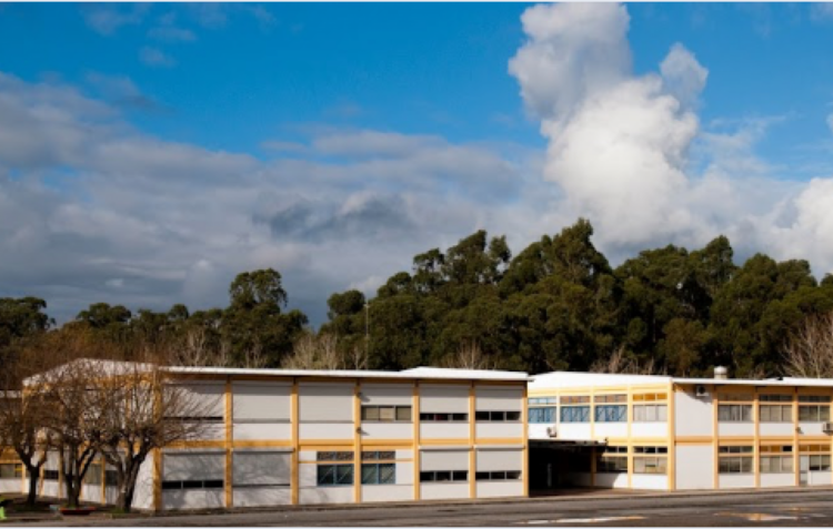 Escolas do distrito recolheram mais de 21 toneladas de lixo electrónico