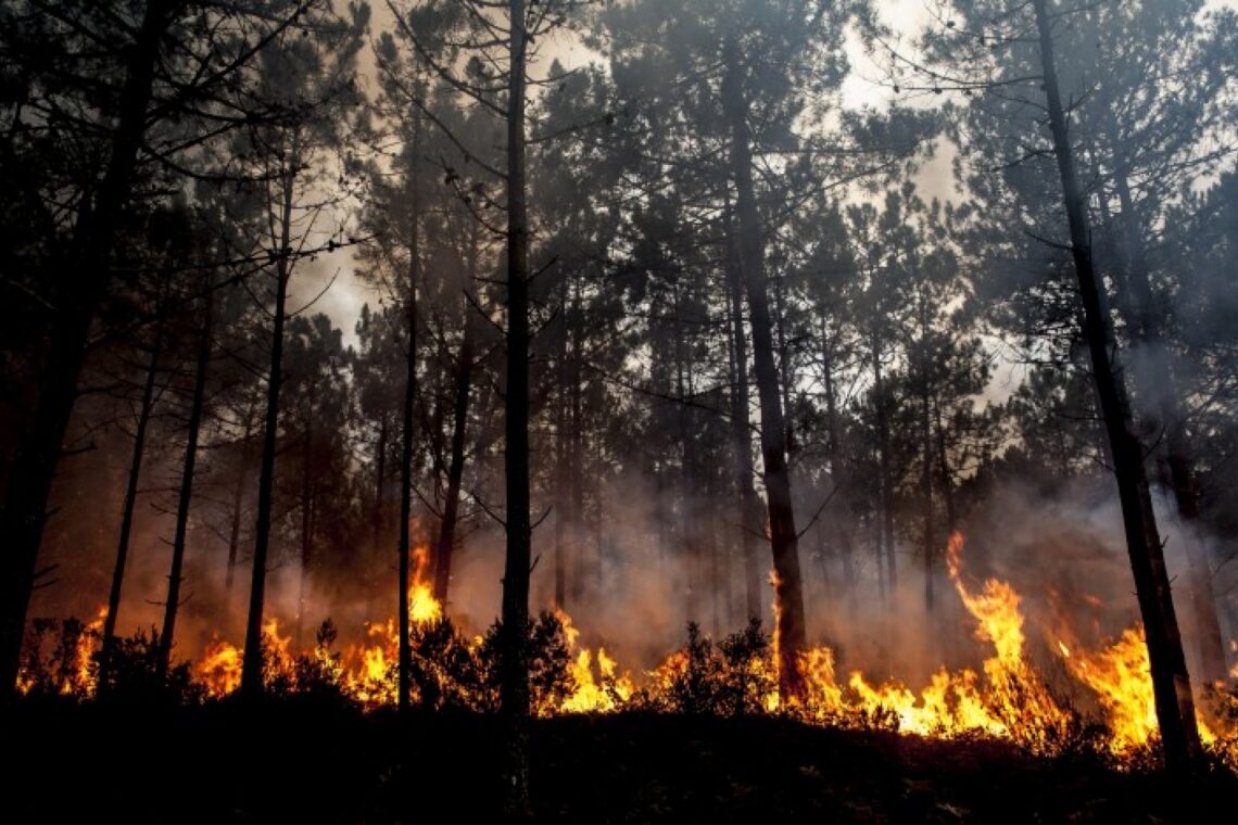 Com o fogo de Pedrógão Grande, “o pior já passou”