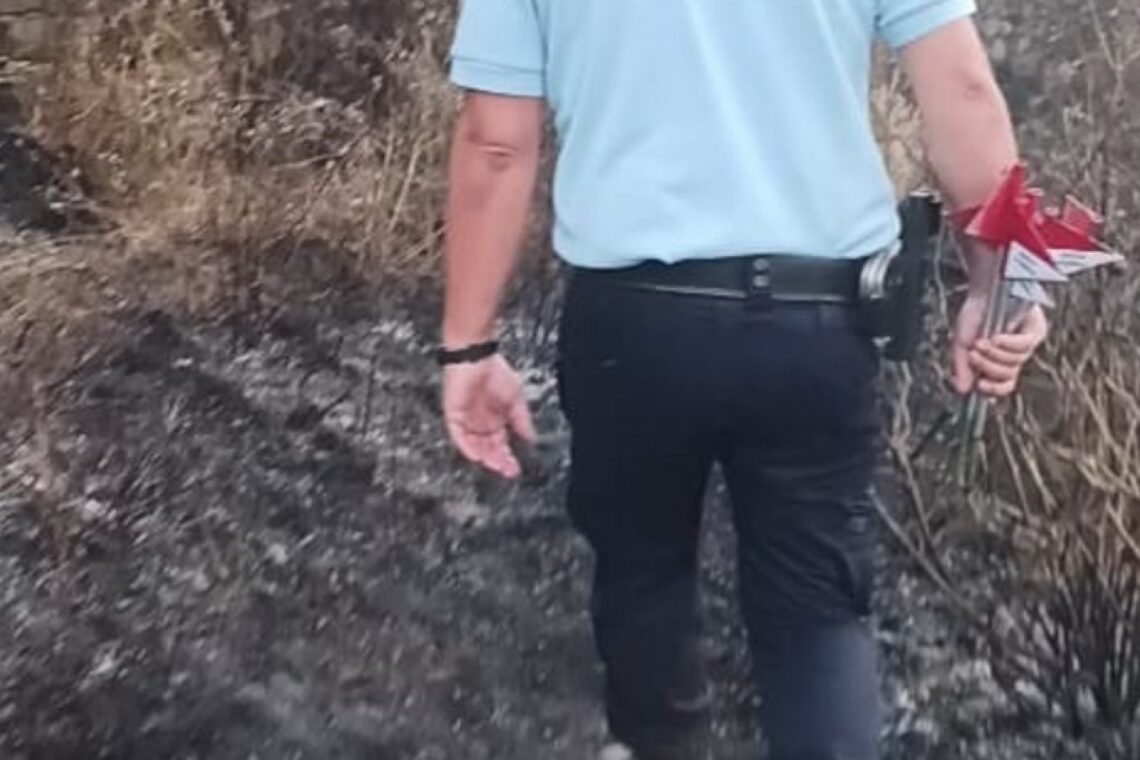 GNR identifica homem por incêndio florestal em Figueiró dos Vinhos