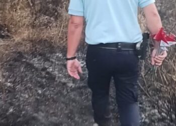 GNR identifica homem por incêndio florestal em Figueiró dos Vinhos