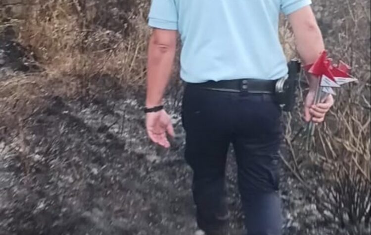 GNR identifica homem por incêndio florestal em Figueiró dos Vinhos
