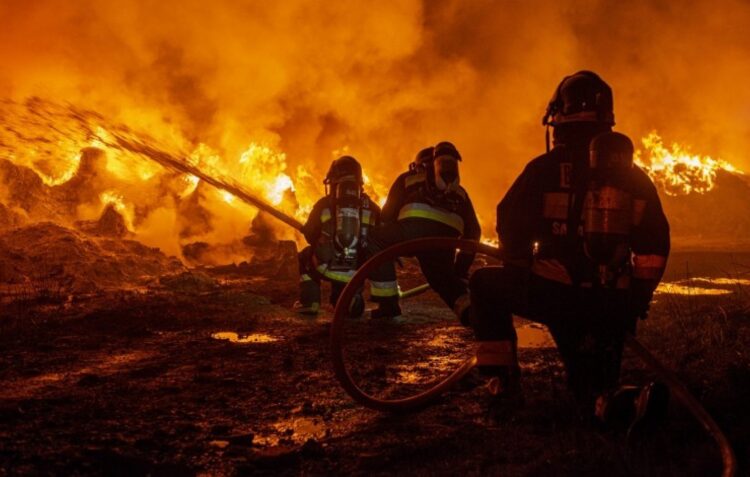 Fogos que começaram hoje em Pedrógão Grande já chegaram à Sertã