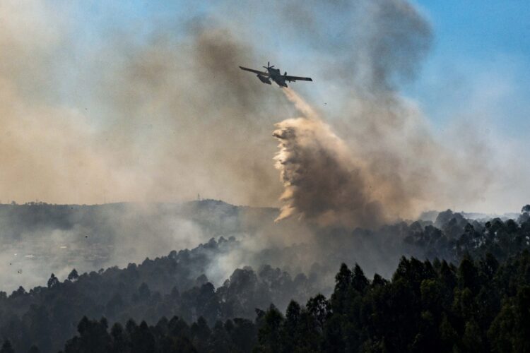 Fogo em Santa Catarina da Serra em fase de consolidação