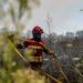 Fogo em Santa Catarina da Serra mobiliza mais de 120 operacionais e corta EN 113 (ACTUALIZADA)
