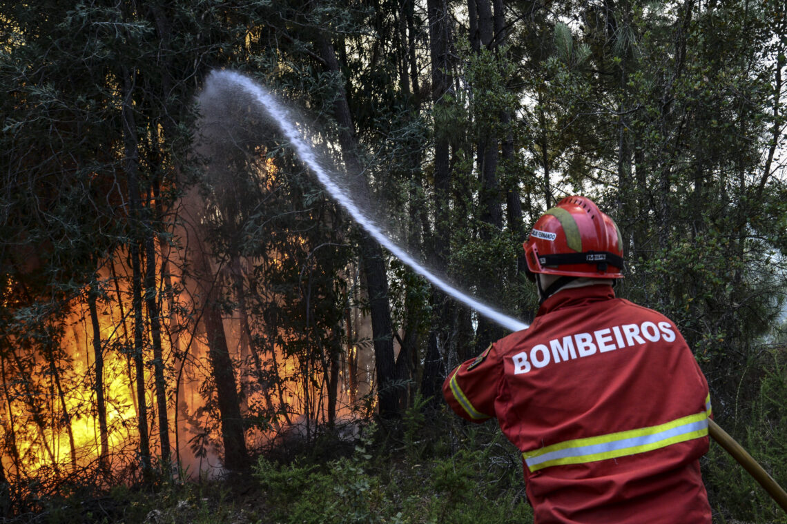 Detido suspeito de atear quatro fogos em Ourém