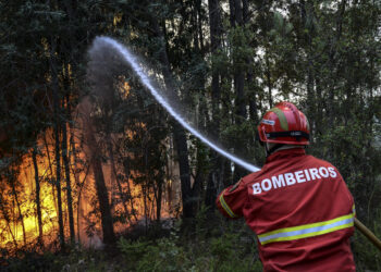 Detido suspeito de atear quatro fogos em Ourém