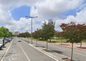 Marinha Grande devolve rua aos peões no Dia Europeu Sem Carros
