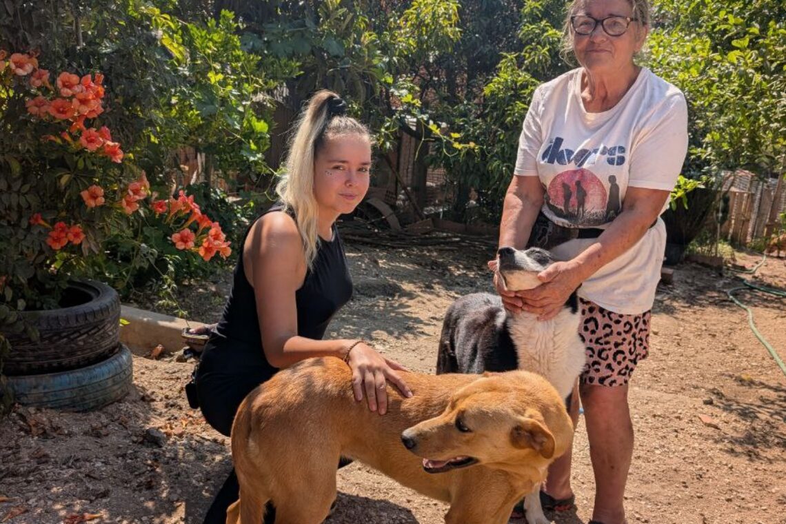 “Santuário da Fátima” nas Meirinhas acolhe animais doentes e abandonados