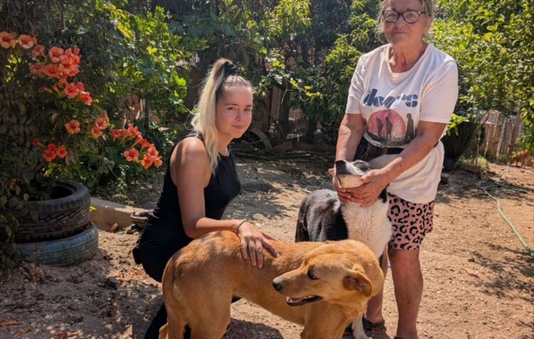 “Santuário da Fátima” nas Meirinhas acolhe animais doentes e abandonados