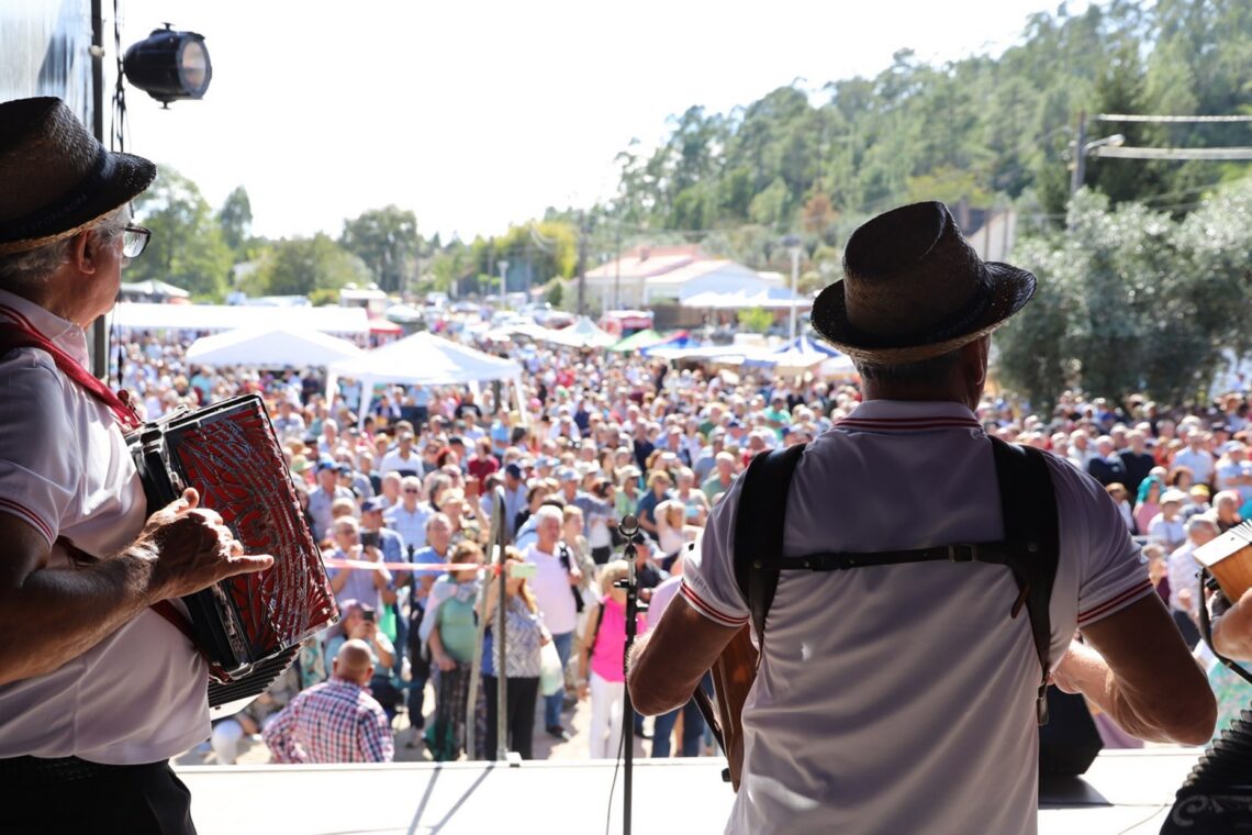 Concertinas. 700 tocadores esperados na Barrenta