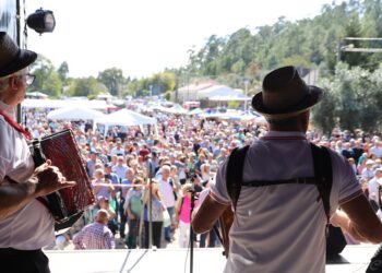 Concertinas. 700 tocadores esperados na Barrenta