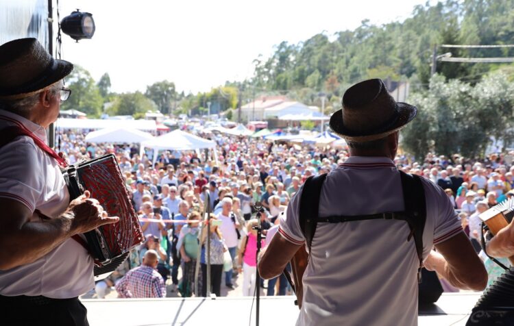 Concertinas. 700 tocadores esperados na Barrenta