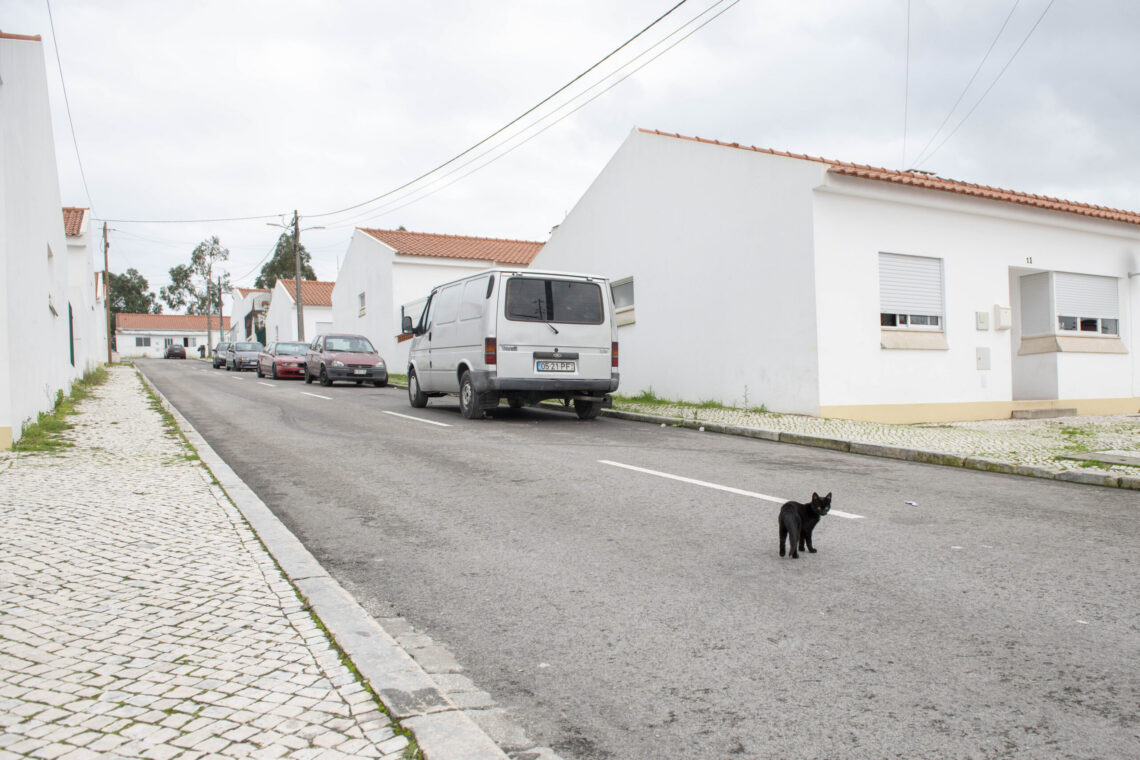 Há 179 famílias à espera de habitação social em Leiria