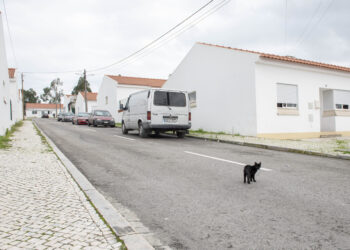 Há 179 famílias à espera de habitação social em Leiria