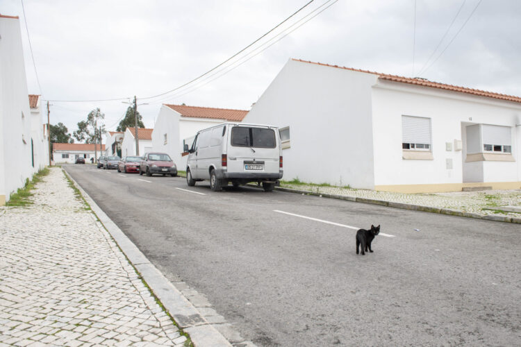 Há 179 famílias à espera de habitação social em Leiria