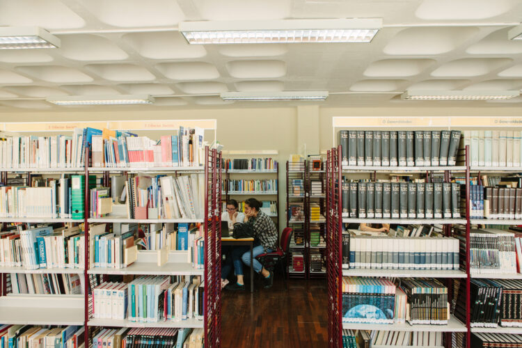 Bibliotecas escolares desafiadas a alcançar jovens numa era digital