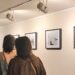 Exposições: Juízo