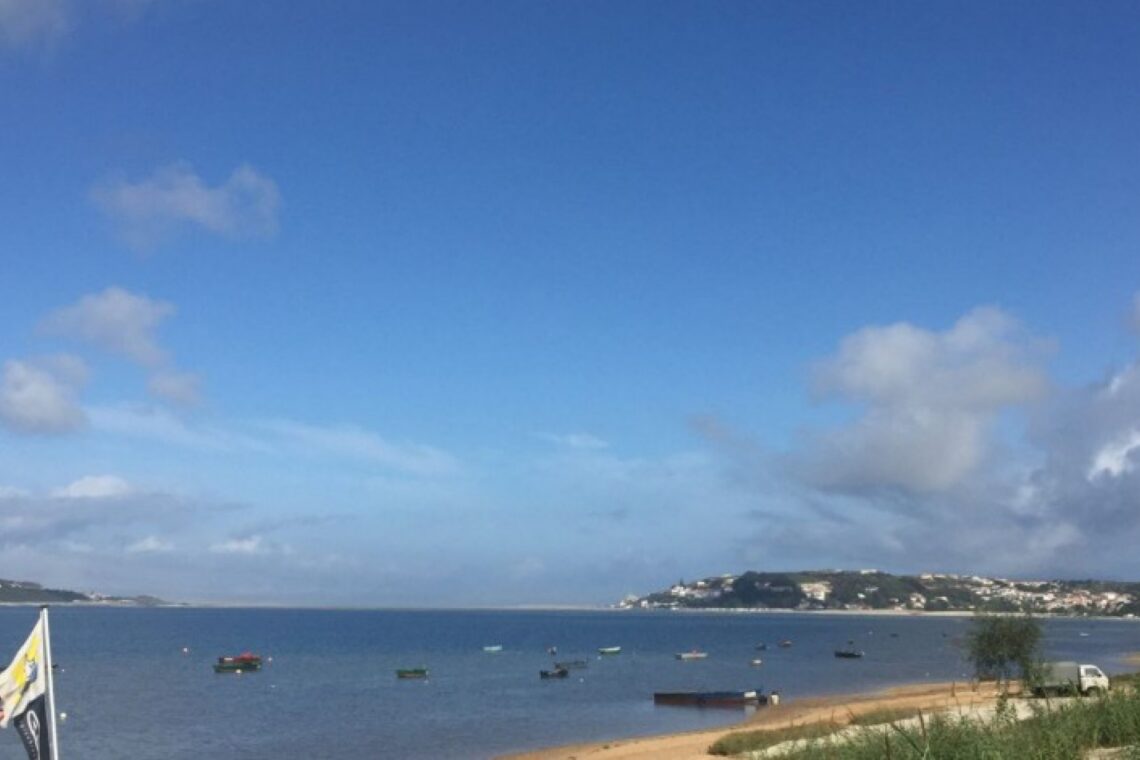 INATEL promove limpeza de praia na Lagoa de Óbidos