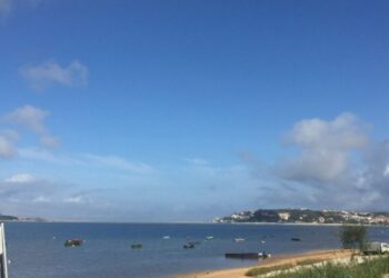 INATEL promove limpeza de praia na Lagoa de Óbidos