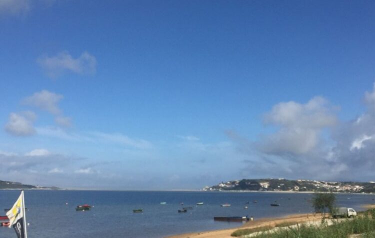 INATEL promove limpeza de praia na Lagoa de Óbidos