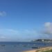 INATEL promove limpeza de praia na Lagoa de Óbidos