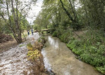 Cidadãos de Porto Longo, em Monte Redondo, põem mãos à obra e cuidam de ribeiros