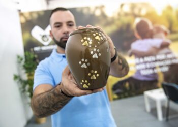 Funerárias para animais: onde os companheiros peludos descansam em paz