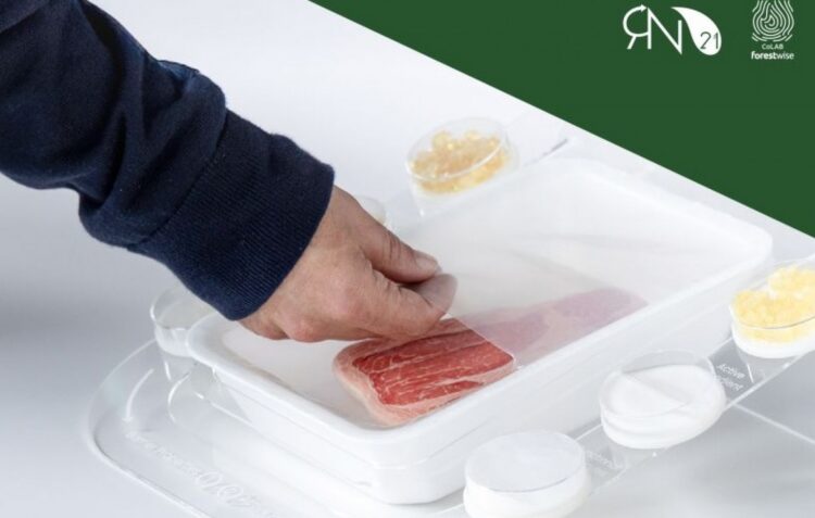Projecto RN21 desenvolve embalagem para carne
