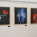 Exposições: L’Art en Scène