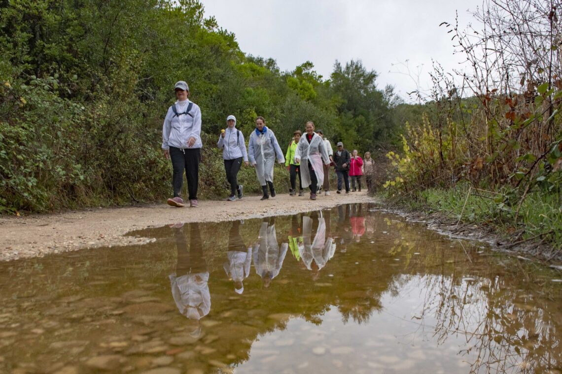 Faça chuva ou faça sol, as caminhadas estão na moda e a adesão é cada vez maior