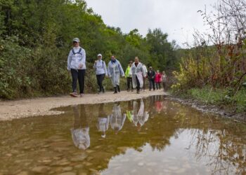 Faça chuva ou faça sol, as caminhadas estão na moda e a adesão é cada vez maior
